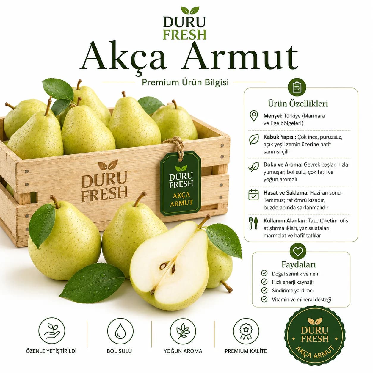 Armut Akça