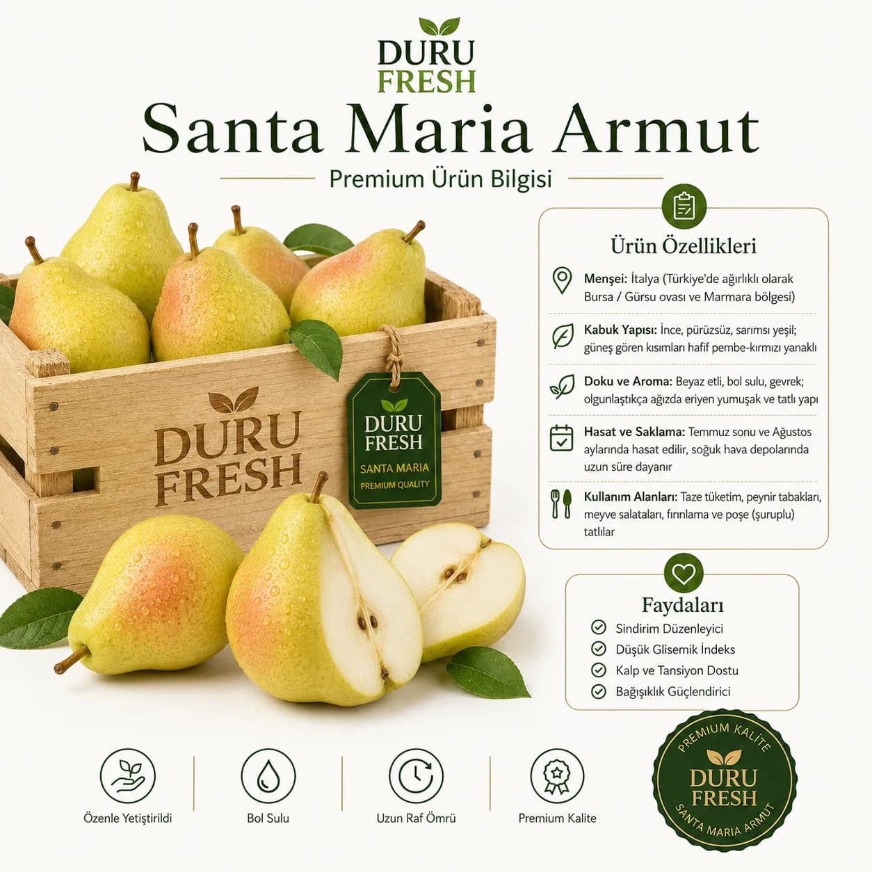 Armut Santa Maria