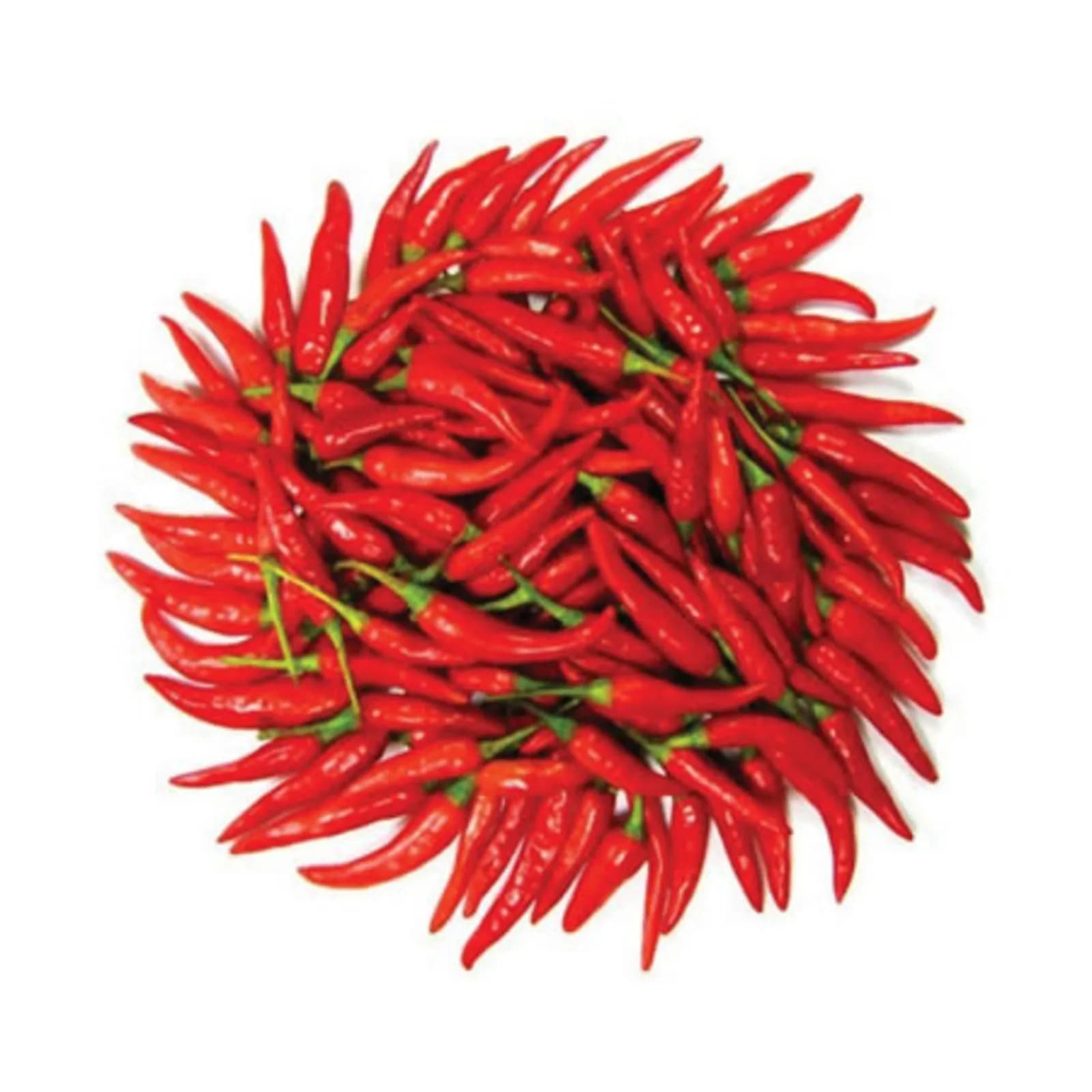 Biber Şili (Chili)