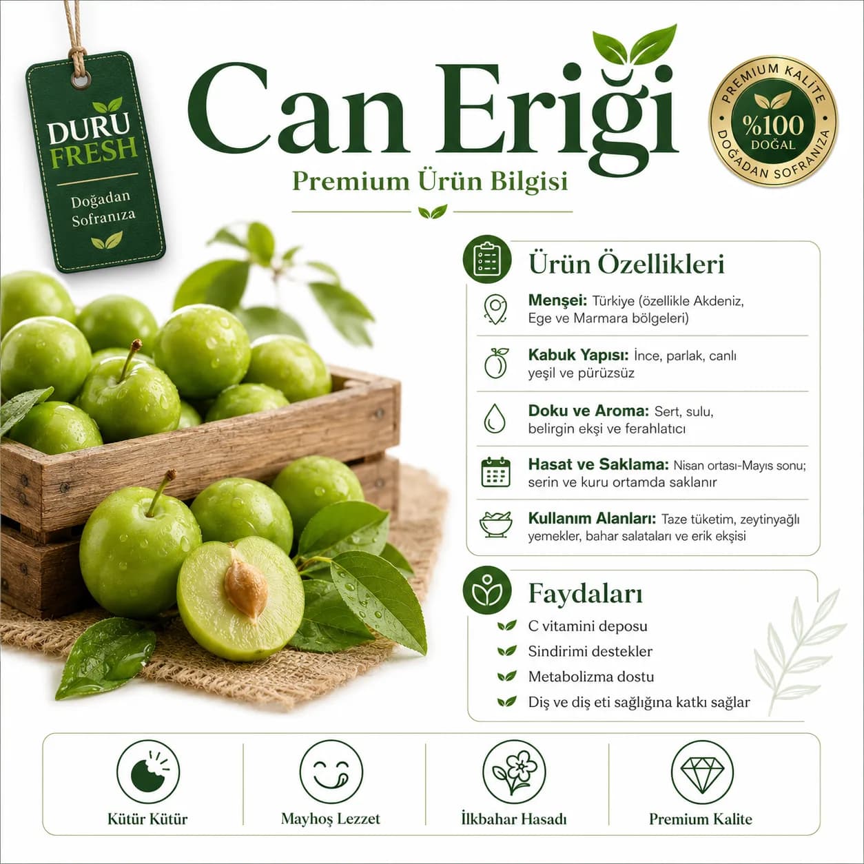 Erik Can