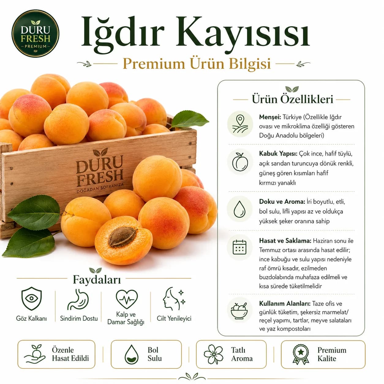 Kayısı Iğdır