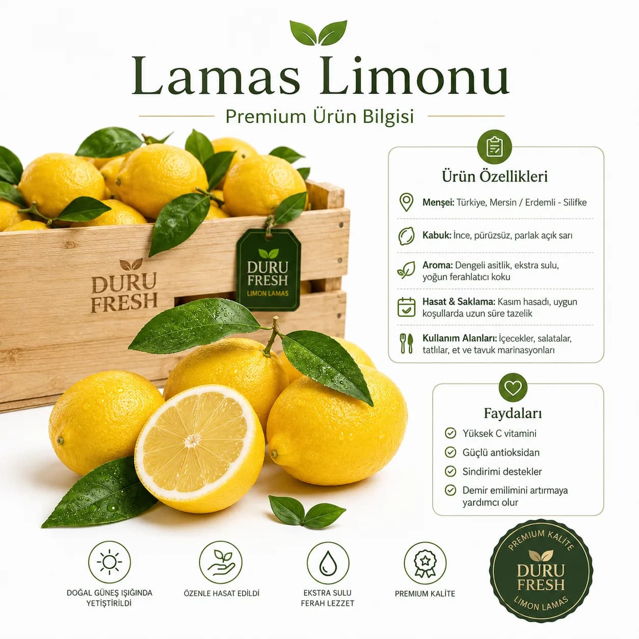 Limon Lamas Ürün Özellikleri ve Bilgileri