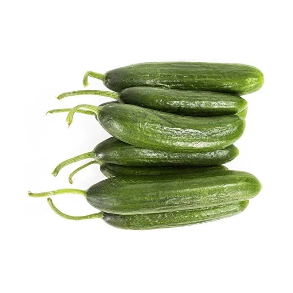 Salatalık Çengel